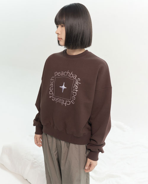 sparkle sweatshirt (brown)